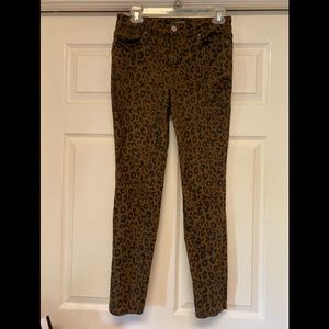 Animal print pants